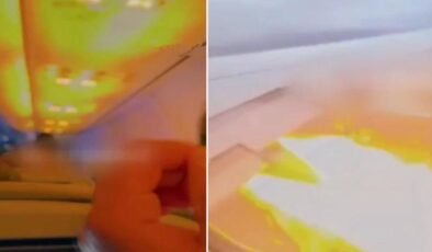 Motora kaçan küçücük hayvan neredeyse faciaya neden oluyordu